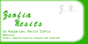 zsofia mesits business card